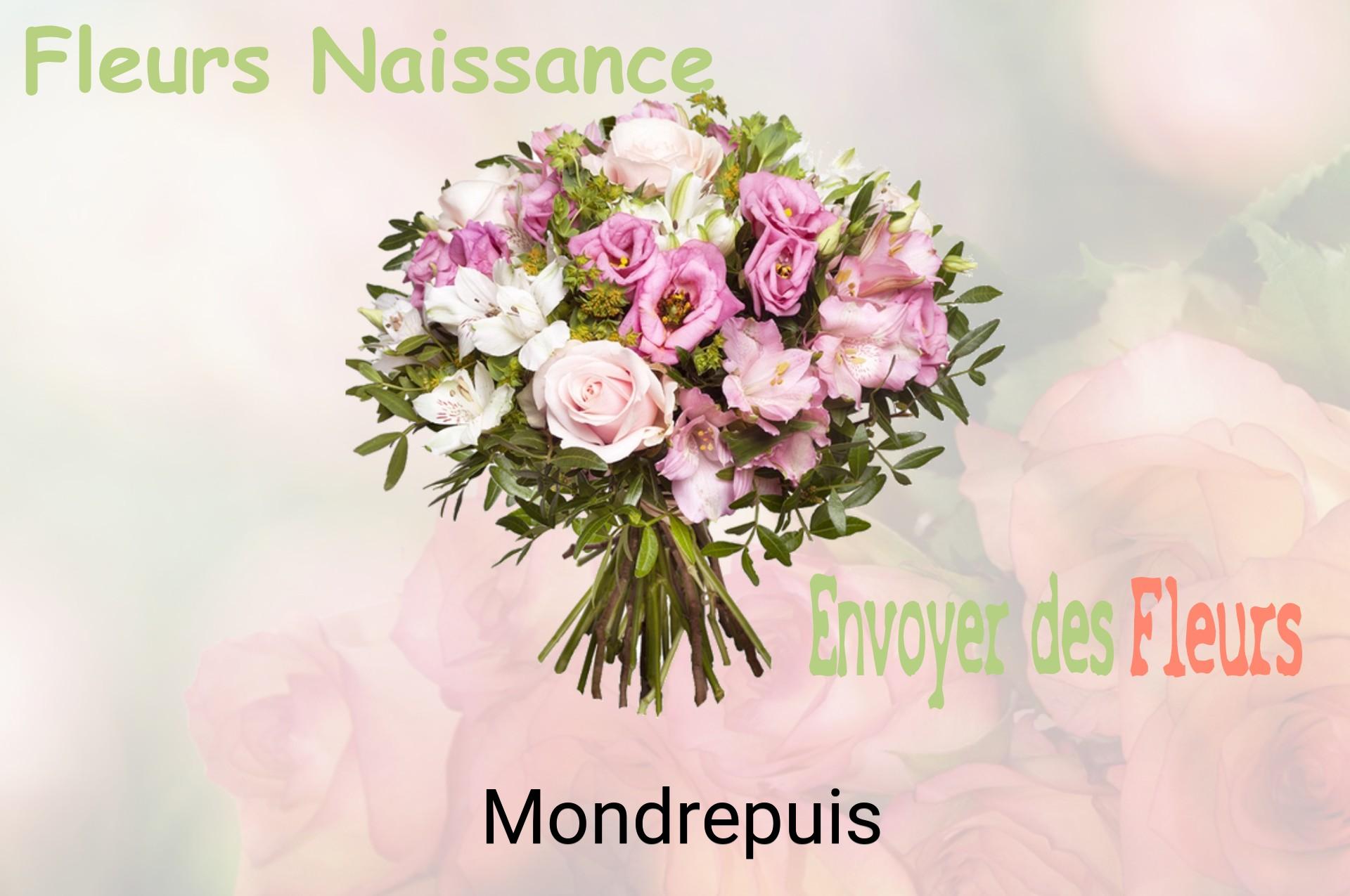 Bouquet de fleurs de naissance livré à Mondrepuis